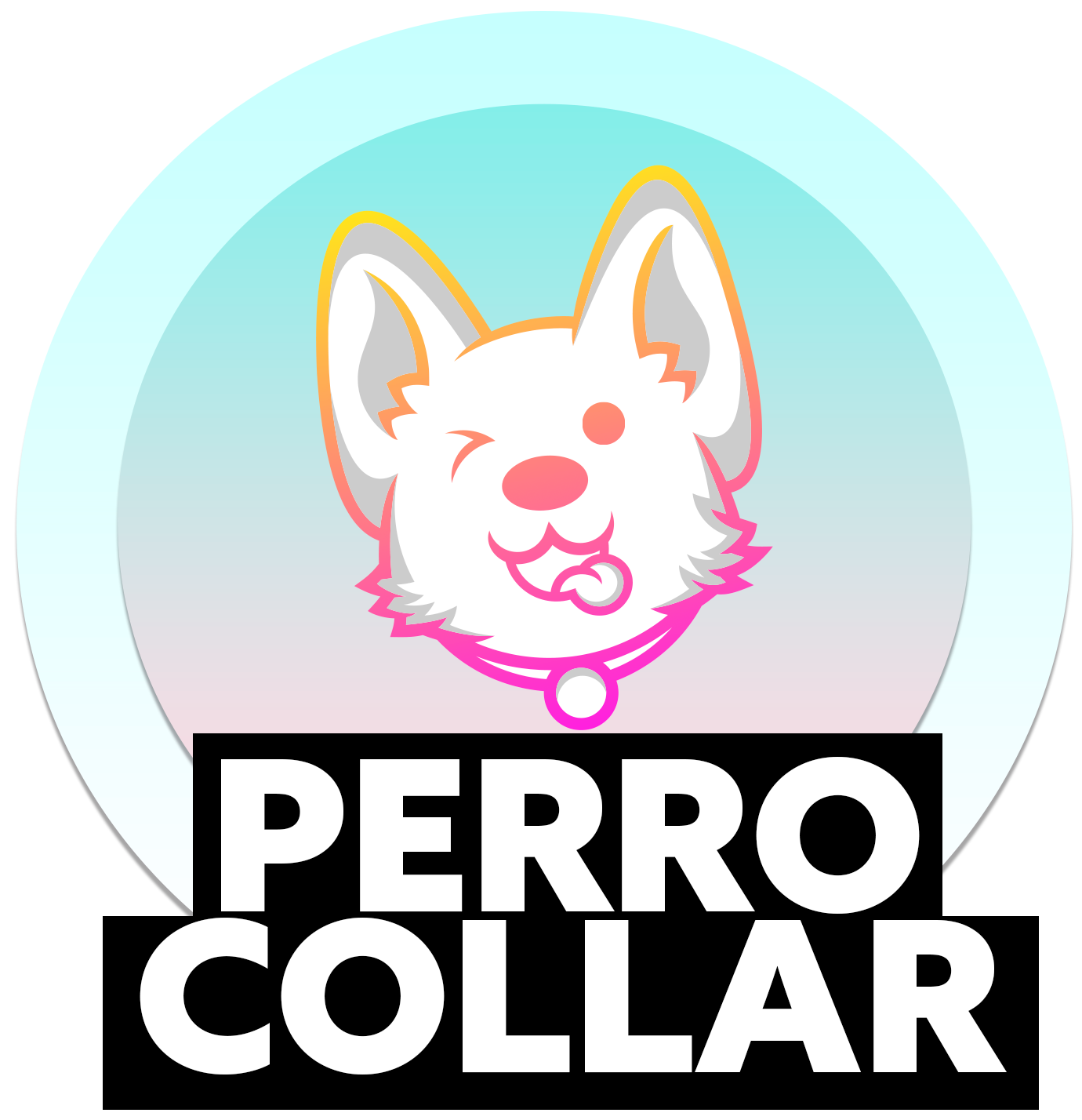 PERRO COLLAR