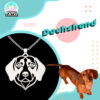 Dachshund IG Dachshund