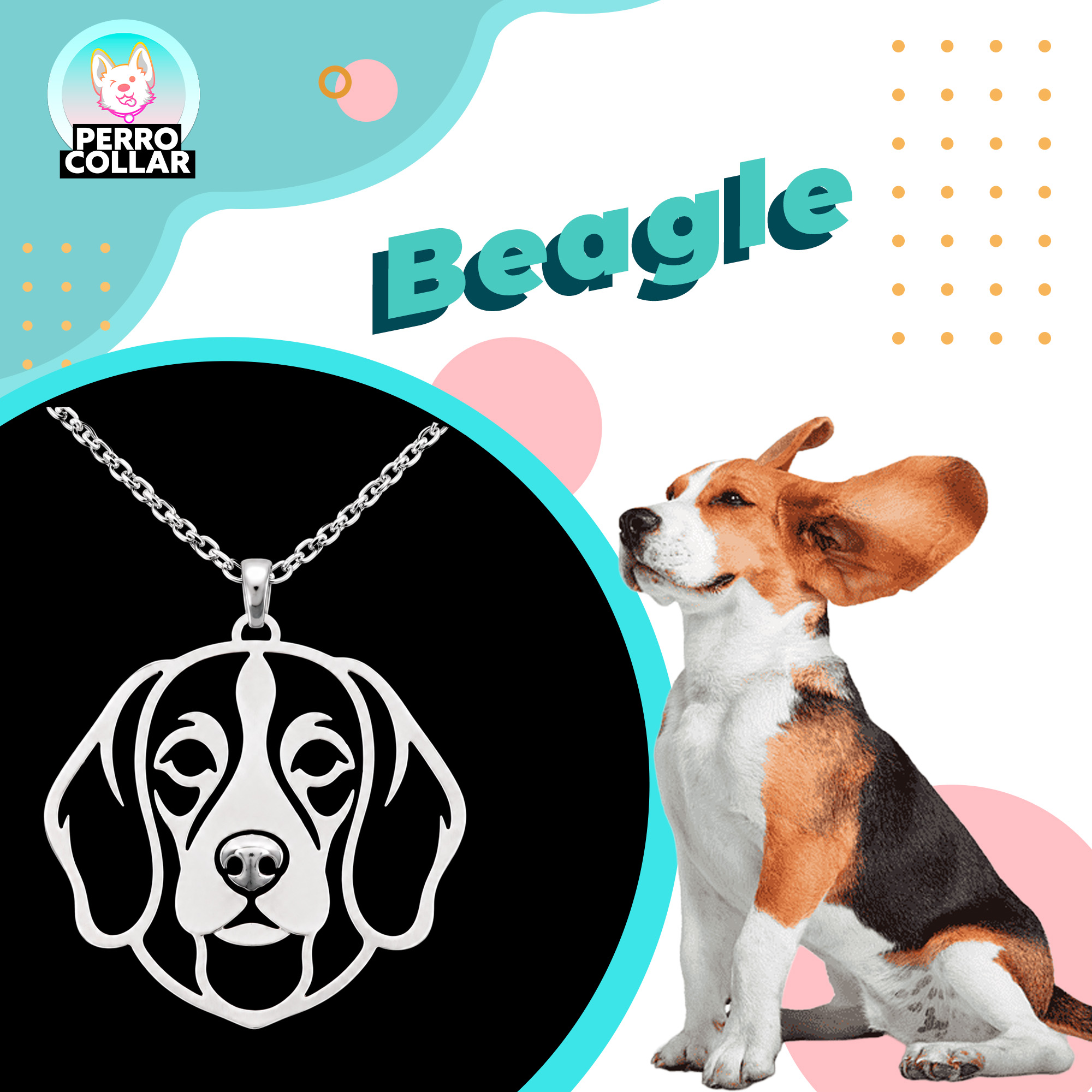 Beagle