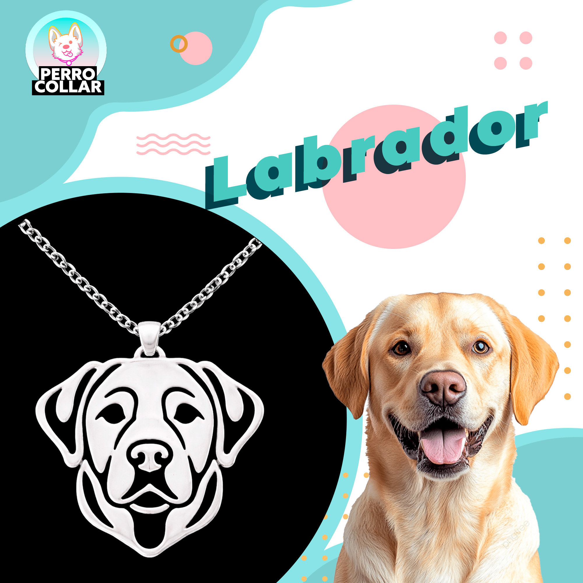 Labrador