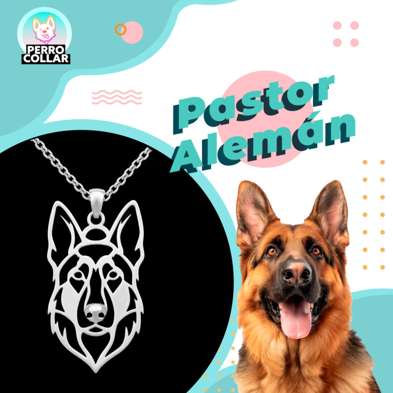 Pastor Aleman IG Pastor Alemán