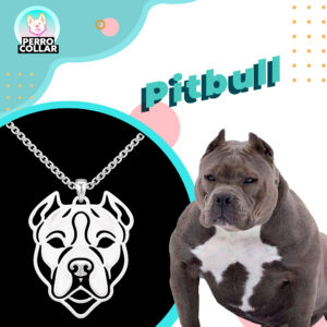 Pitbull IG Pitbull