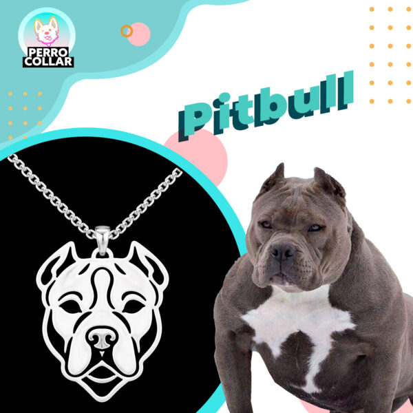 Pitbull