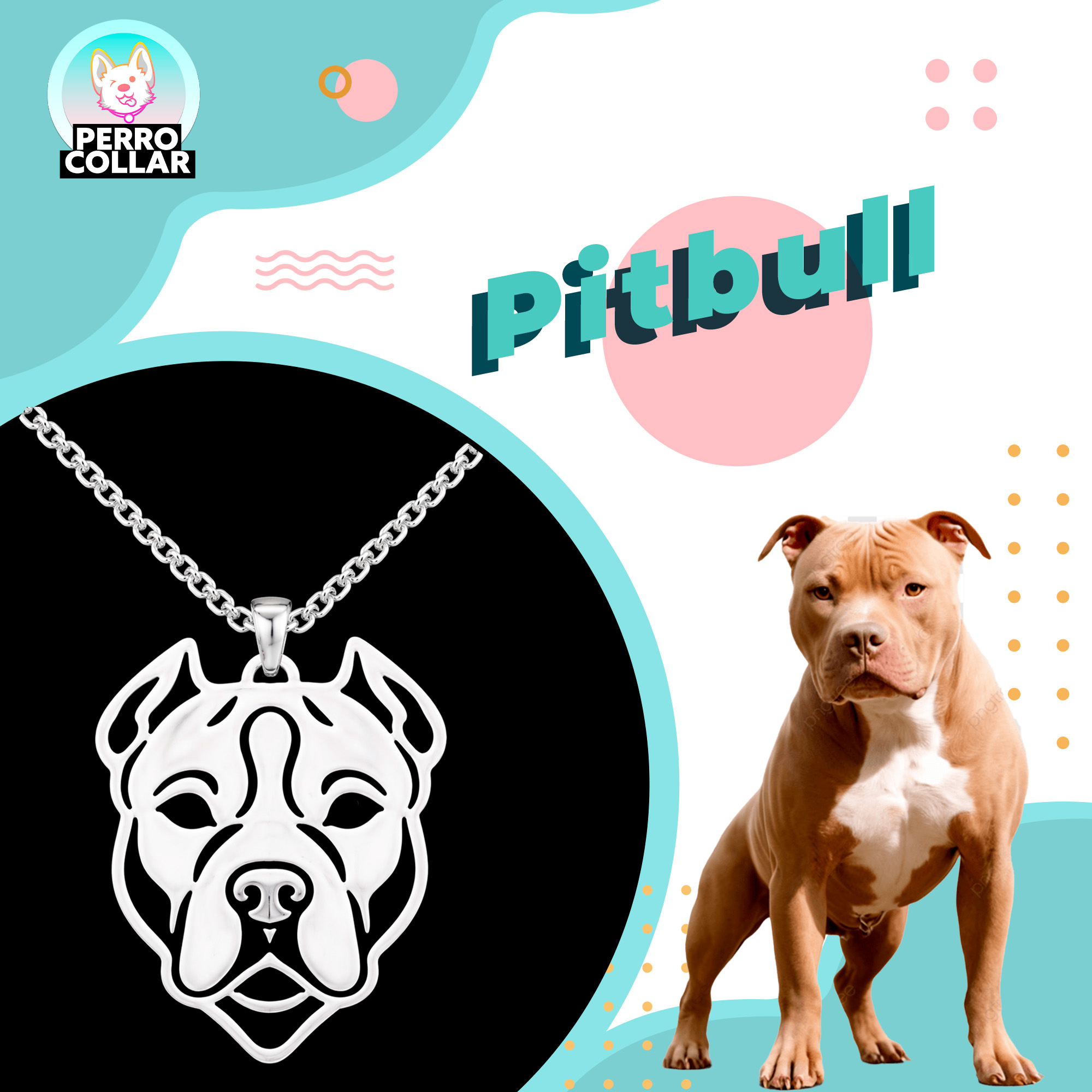 Pitbull