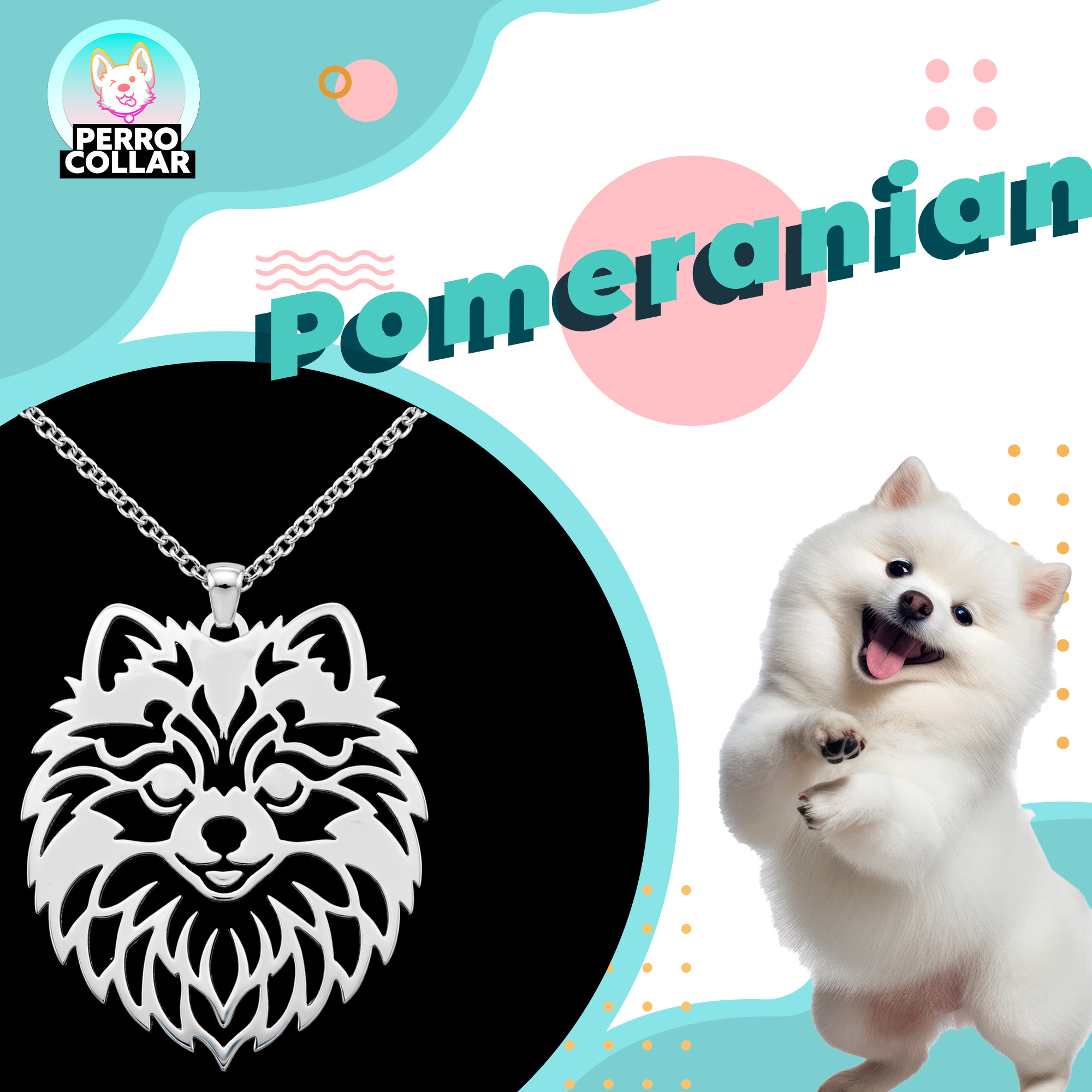 Pomeranian