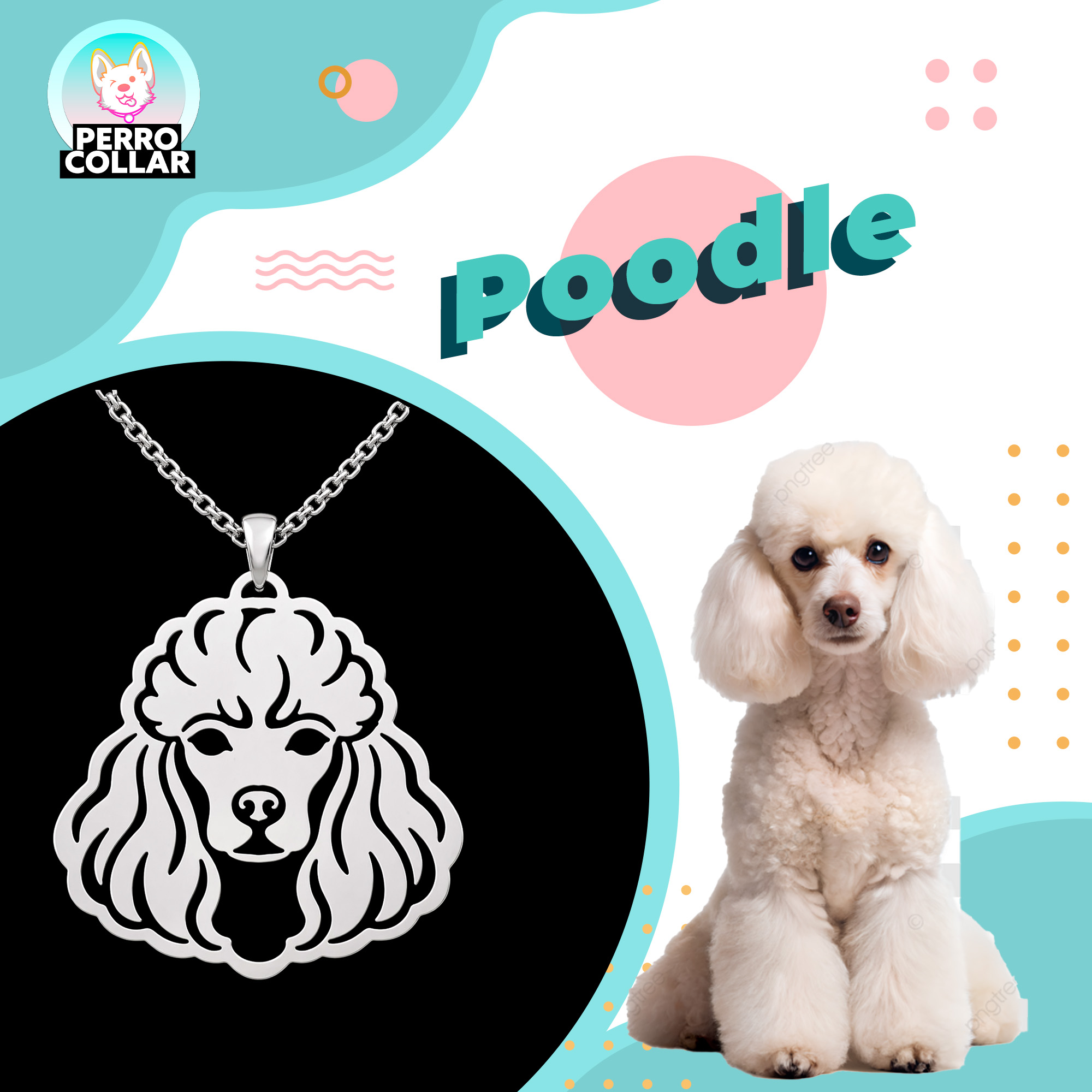 Poodle