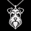 Schnauzer Foto WEB Schnauzer