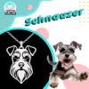 Schnauzer IG 2 Schnauzer