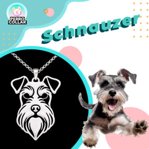 Schnauzer