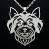 Yorkshire Terrier Foto Web 2 Yorkshire Terrier