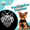 Yorkshire Terrier IG Yorkshire Terrier