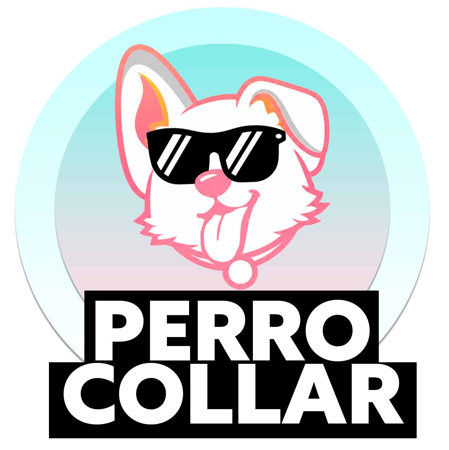 PERRO COLLAR